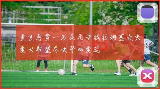 重金悬赏一万美元寻找拉姆塞走失爱犬希望尽快寻回爱宠