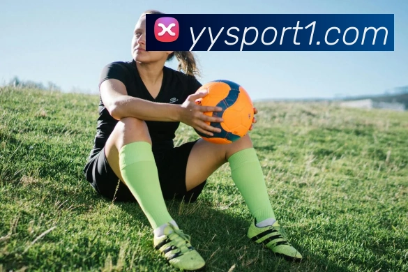 易游体育平台生态图